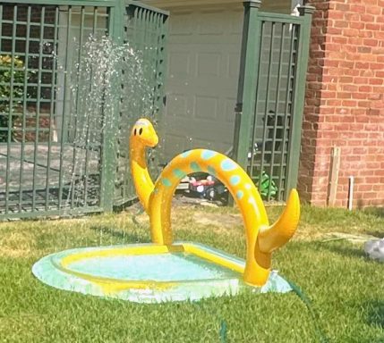 Dino Splash Pad $15